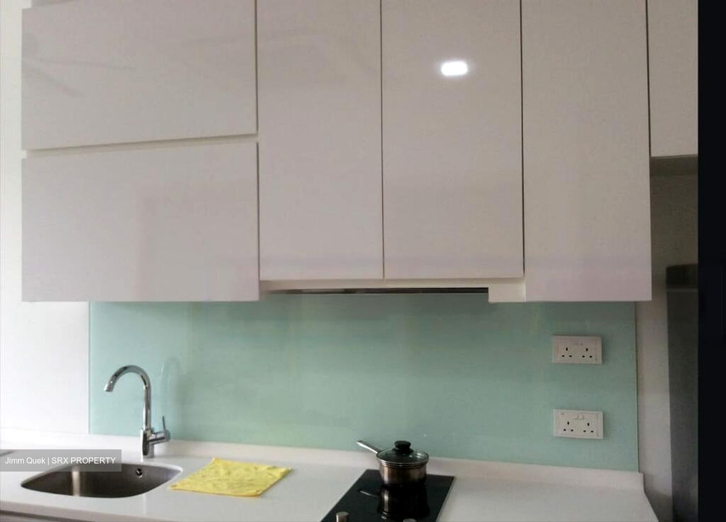 21 Richards (D19), Apartment #473410421